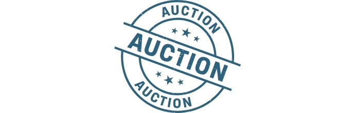 Image: Auction Scene